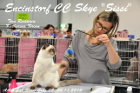 Sissi bei Tica Richterin Katharina Krenn aus Österreich