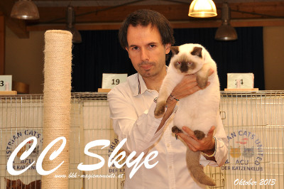 Viel Spaß bei den Showfotos von Sissi