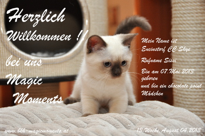 Sissi ist am 02.08.2013 bei uns MagicMoments eingezogen