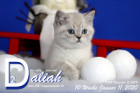Daliah ist 10 Wochen alt ( 11.01.2020 )