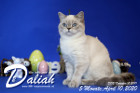 Daliah ist 5 Monate alt ( 10.04.2020 )