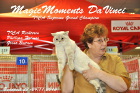 Tica Show in Budapest im November 2013