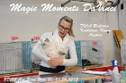 Show in Wels im April 2013