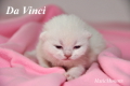 DaVinci ist 1 Woche alt geworden ( 25.08.2012 )