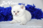 DaVinci ist 5 Wochen alt geworden ( 23.09.2012 )