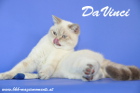 DaVinci ist 11 Monate alt (Juli 2013)