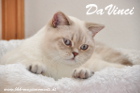 DaVinci ist 11 Monate alt (Juli 2013)