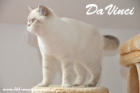 DaVinci ist 11 Monate alt (Juli 2013)