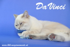 DaVinci ist 11 Monate alt (Juli 2013)