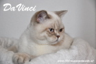 DaVinci ist 11 Monate alt (Juli 2013)