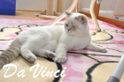 DaVinci ist 11 Monate alt (Juli 2013)
