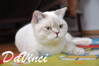 DaVinci ist 11 Monate alt (Juli 2013)