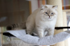 George ist 12 Monate alt ( 22.08.2021 )