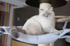 George ist 12 Monate alt ( 22.08.2021 )