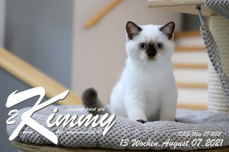 Kimmy ist 13 Wochen alt ( 07.08.2021 )