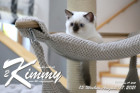 Kimmy ist 13 Wochen alt ( 07.08.2021 )