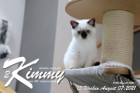 Kimmy ist 13 Wochen alt ( 07.08.2021 )