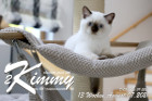 Kimmy ist 13 Wochen alt ( 07.08.2021 )