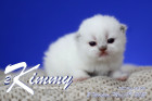 Kimmy ist 2 Wochen alt ( 22.05.2021 )