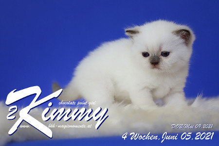 Kimmy ist 4 Wochen alt ( 05.06.2021 )