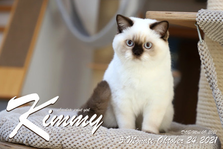 Kimmy ist 5 Monate alt ( 24.10.2021 )