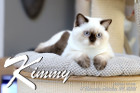 Kimmy ist 5 Monate alt ( 24.10.2021 )