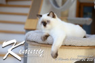 Kimmy ist 5 Monate alt ( 24.10.2021 )