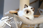 Kimmy ist 5 Monate alt ( 24.10.2021 )