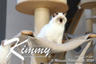 Kimmy ist 5 Monate alt ( 24.10.2021 )
