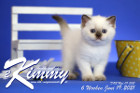 Kimmy ist 6 Wochen alt ( 19.06.2021 )
