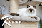 Kimmy ist 7 Monate alt ( 18.12.2021 )