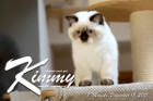 Kimmy ist 7 Monate alt ( 18.12.2021 )