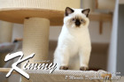 Kimmy ist 7 Monate alt ( 18.12.2021 )