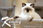 Kimmy ist 7 Monate alt ( 18.12.2021 )