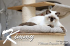 Kimmy ist 7 Monate alt ( 18.12.2021 )