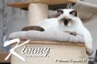 Kimmy ist 7 Monate alt ( 18.12.2021 )