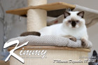 Kimmy ist 7 Monate alt ( 18.12.2021 )