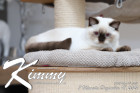 Kimmy ist 7 Monate alt ( 18.12.2021 )