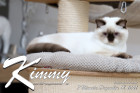 Kimmy ist 7 Monate alt ( 18.12.2021 )