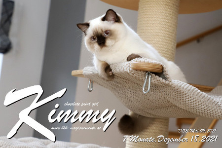 Kimmy ist 7 Monate alt ( 18.12.2021 )