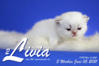 Livia ist 3 Wochen alt ( 05.06.2021 )
