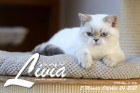 Livia ist 5 Monate alt ( 24.10.2021 )