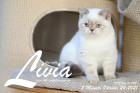 Livia ist 5 Monate alt ( 24.10.2021 )