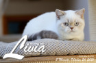 Livia ist 5 Monate alt ( 24.10.2021 )