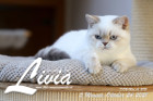 Livia ist 5 Monate alt ( 24.10.2021 )