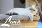 Livia ist 5 Monate alt ( 24.10.2021 )