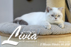 Livia ist 5 Monate alt ( 24.10.2021 )