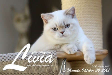 Livia ist 5 Monate alt ( 24.10.2021 )
