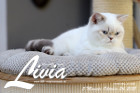Livia ist 5 Monate alt ( 24.10.2021 )