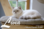 Livia ist 7 Monate alt ( 18.12.2021 )